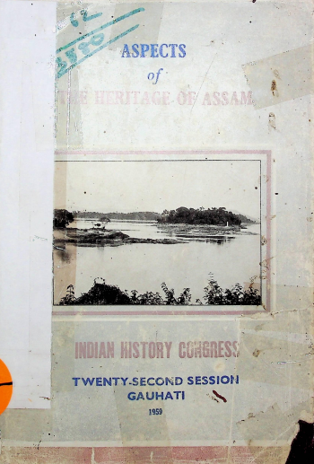 collection logo